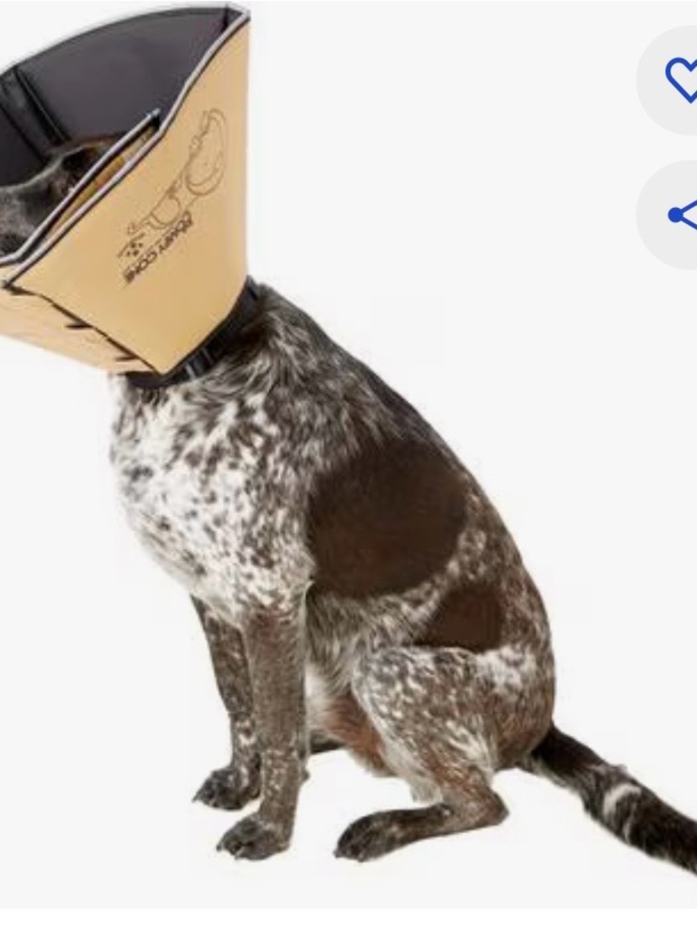 Protective Dog Cone Collar in Tan